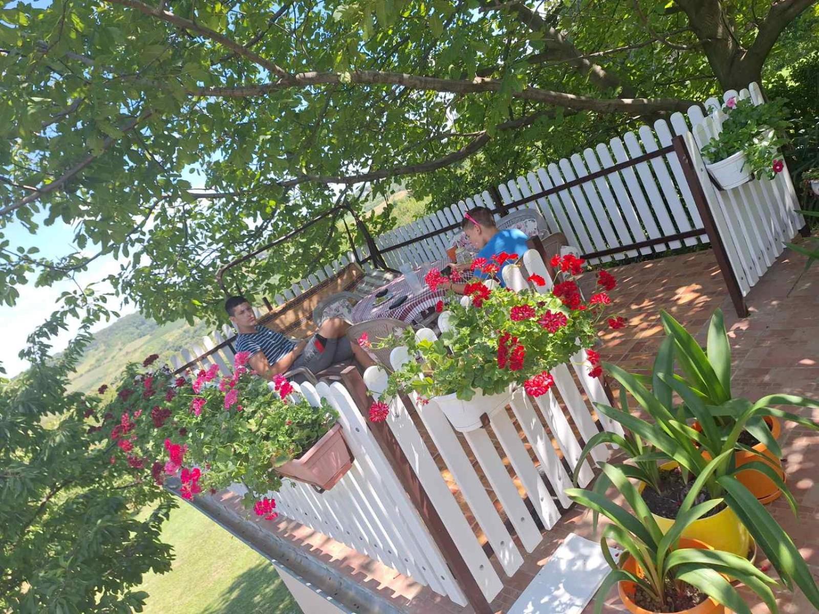 סרמסקי קרלובצ'י Guest House Jevtovic מראה חיצוני תמונה