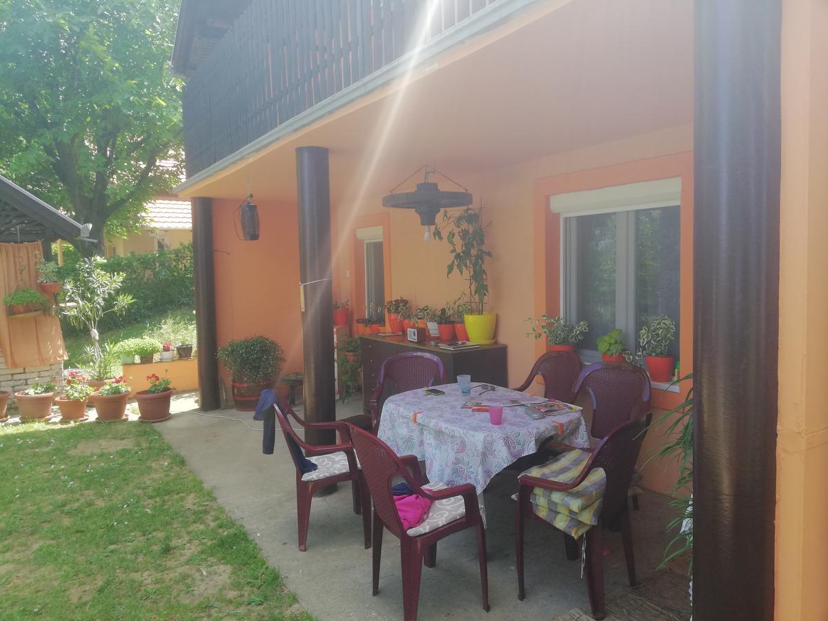 סרמסקי קרלובצ'י Guest House Jevtovic מראה חיצוני תמונה