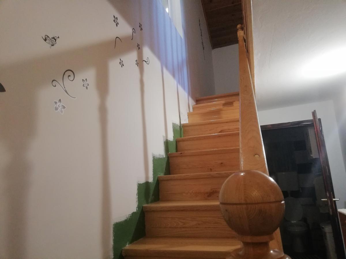 סרמסקי קרלובצ'י Guest House Jevtovic מראה חיצוני תמונה