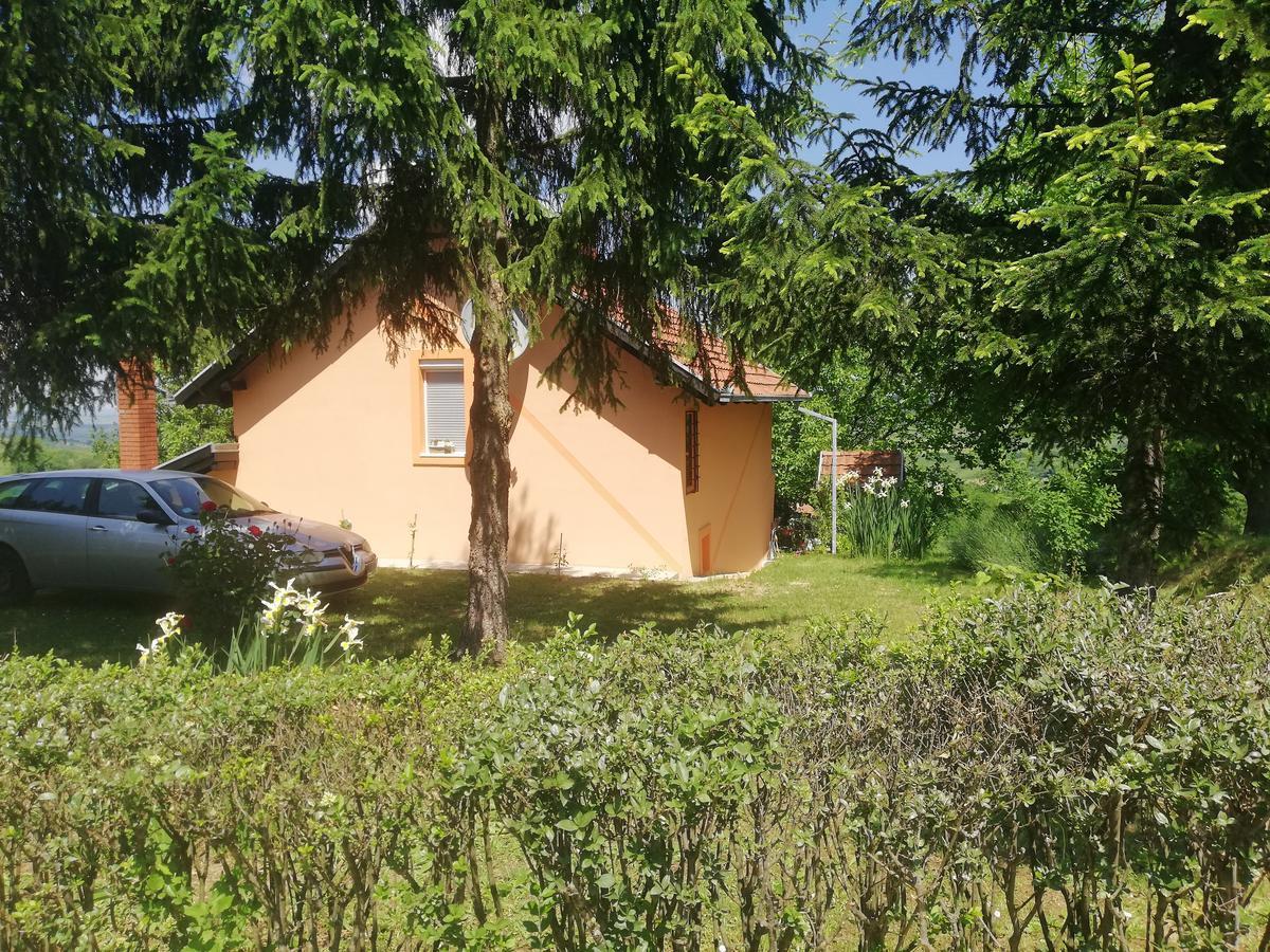 סרמסקי קרלובצ'י Guest House Jevtovic מראה חיצוני תמונה