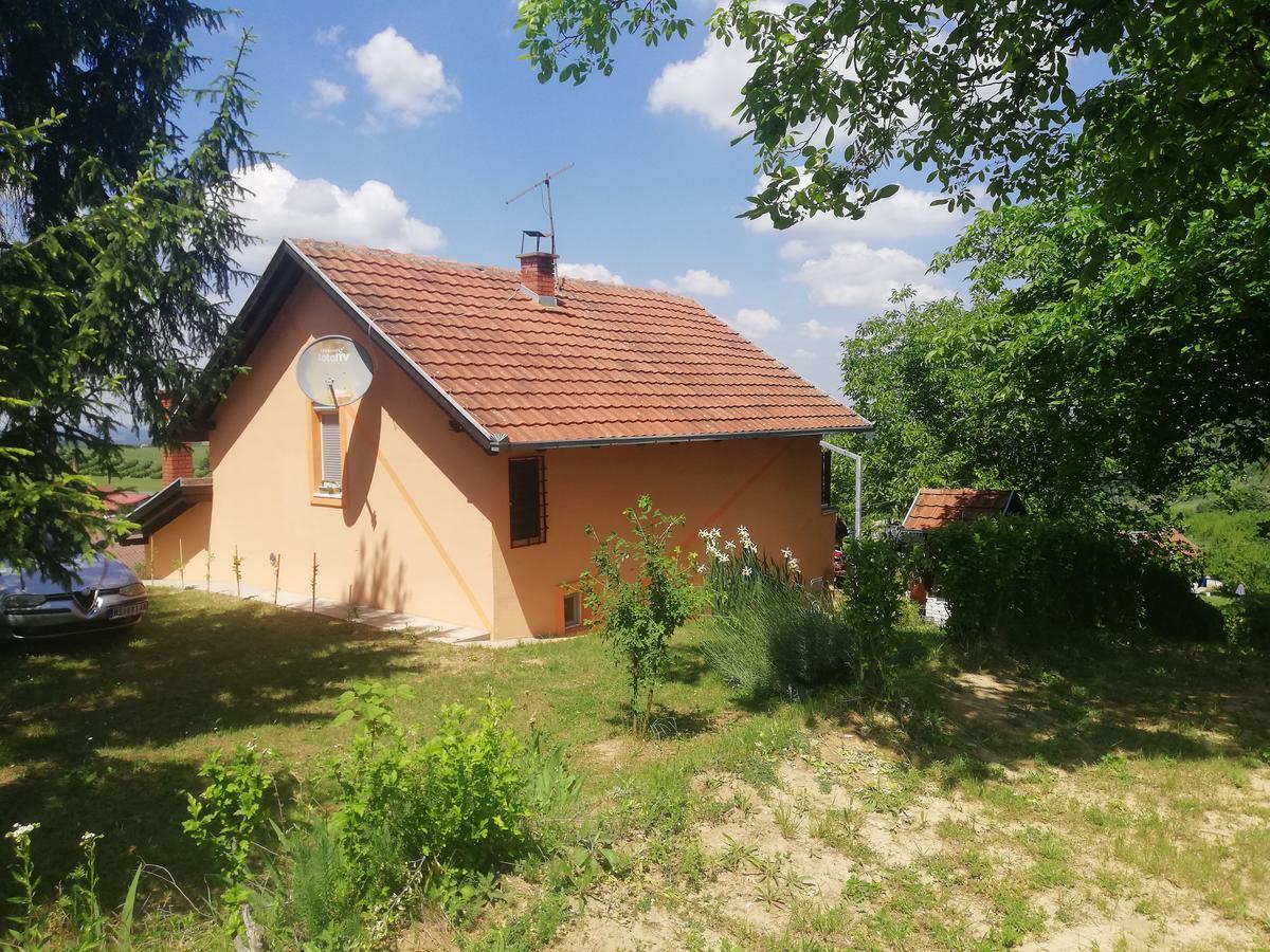 סרמסקי קרלובצ'י Guest House Jevtovic מראה חיצוני תמונה