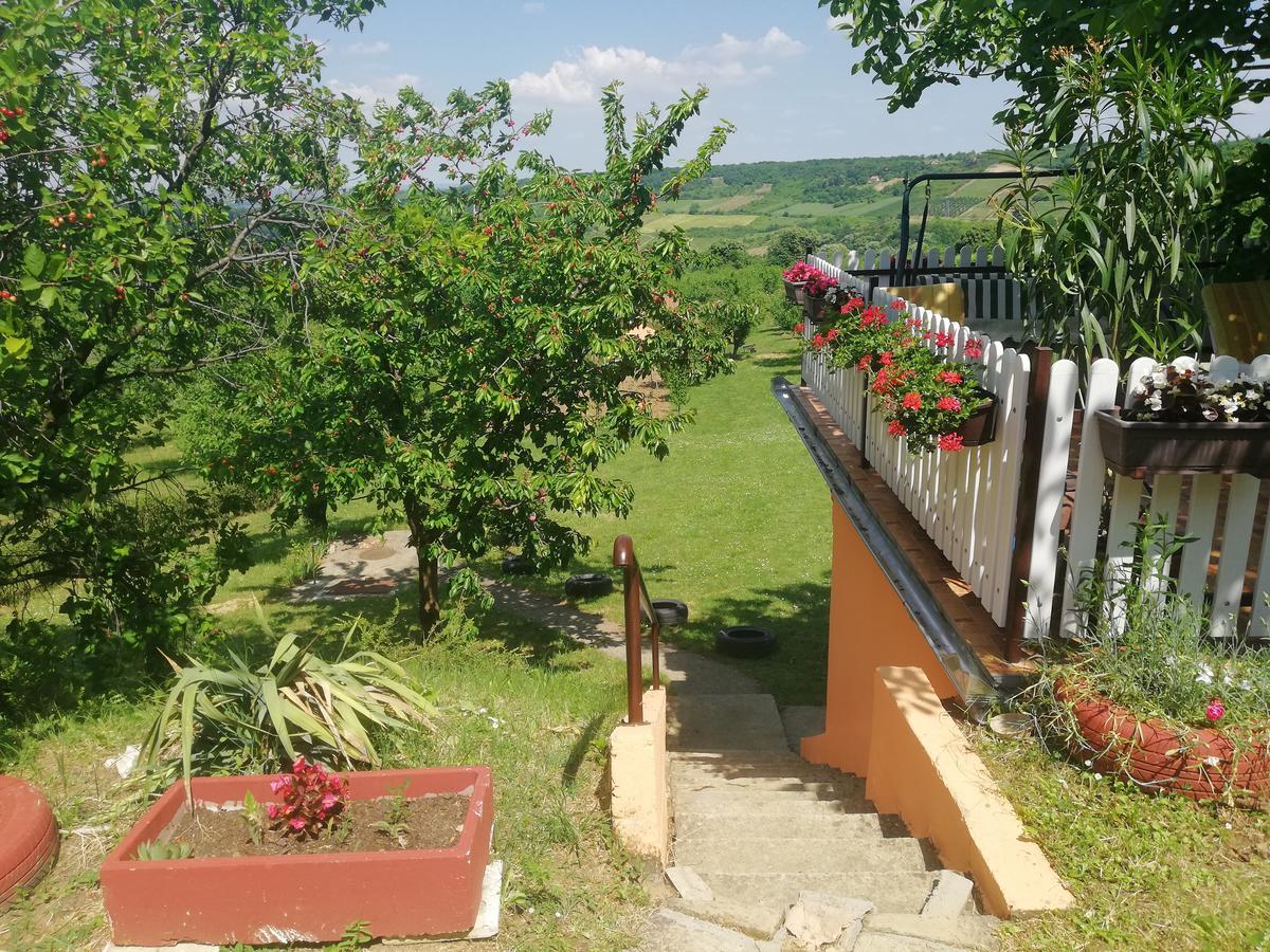 סרמסקי קרלובצ'י Guest House Jevtovic מראה חיצוני תמונה