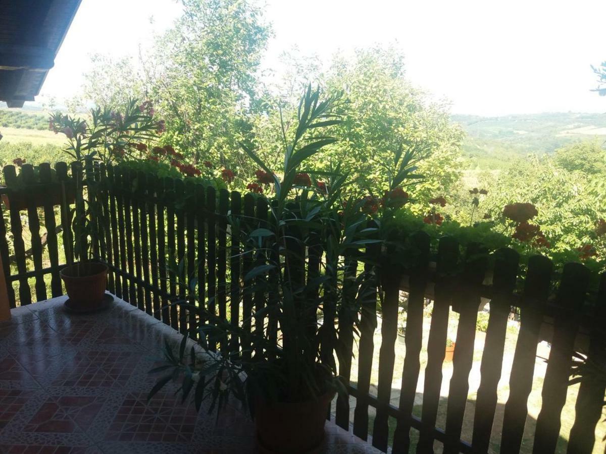 סרמסקי קרלובצ'י Guest House Jevtovic מראה חיצוני תמונה