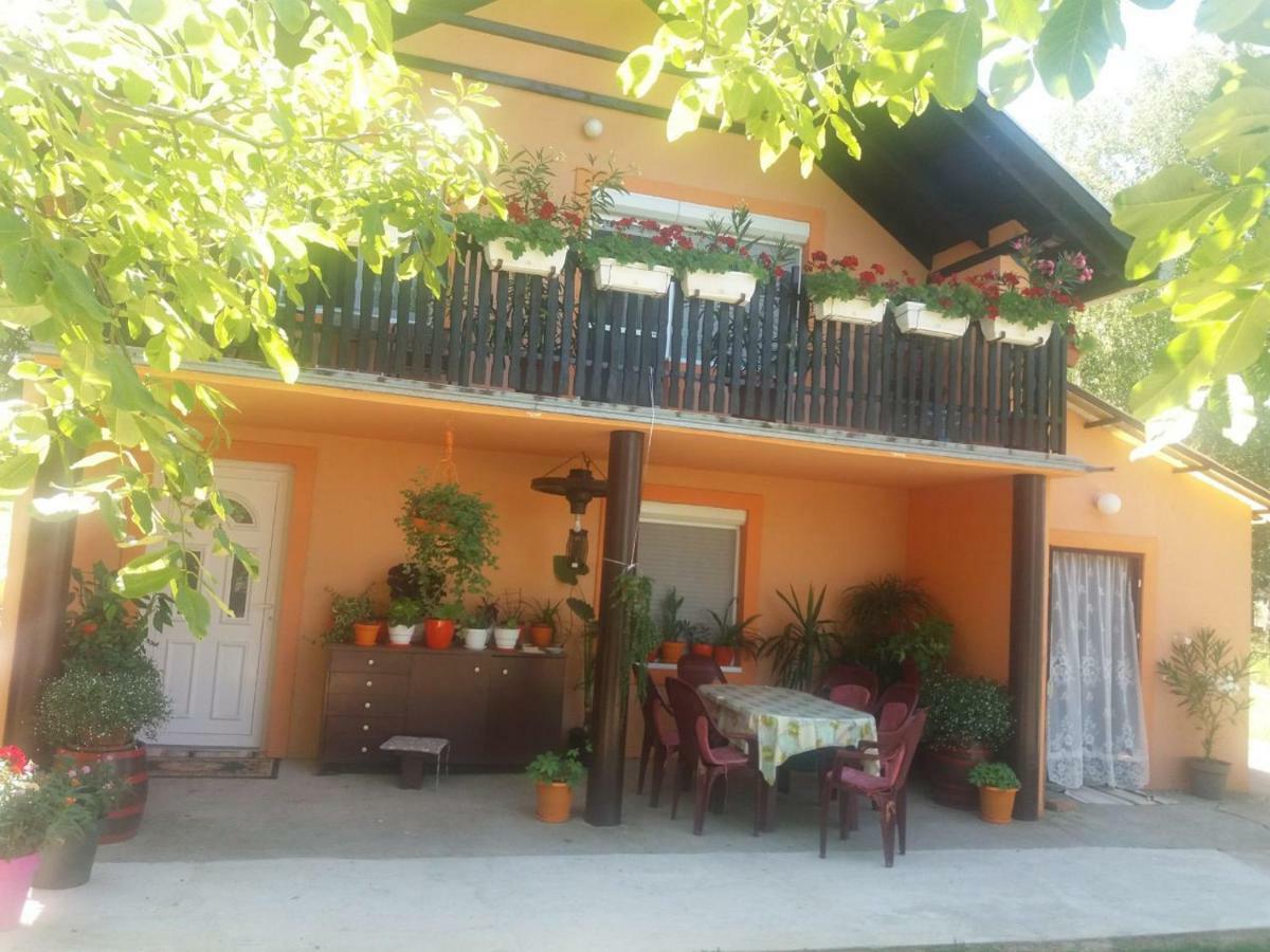 סרמסקי קרלובצ'י Guest House Jevtovic מראה חיצוני תמונה