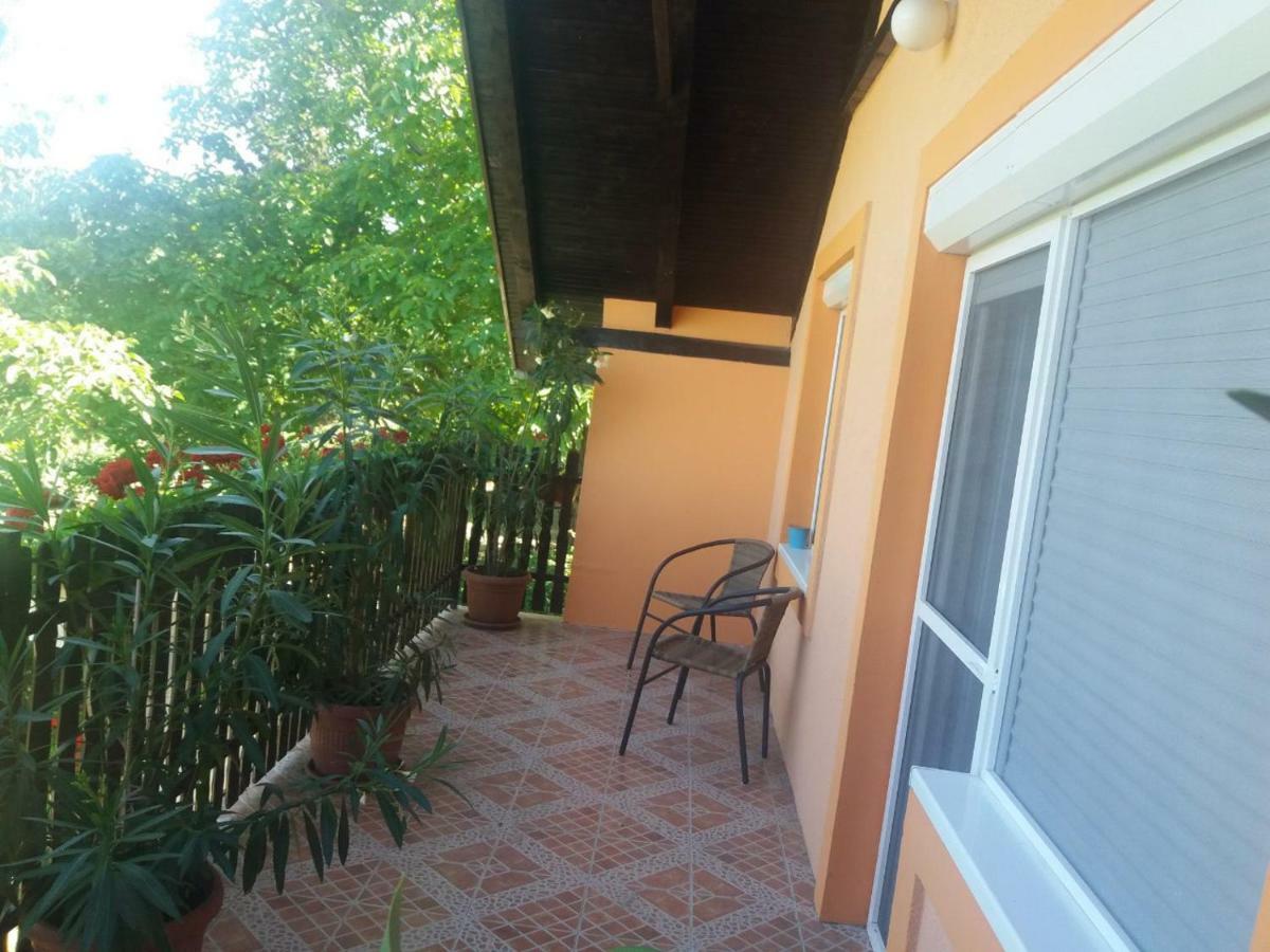 סרמסקי קרלובצ'י Guest House Jevtovic מראה חיצוני תמונה