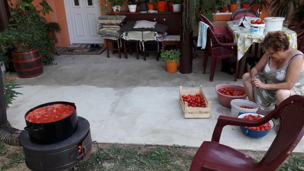 סרמסקי קרלובצ'י Guest House Jevtovic מראה חיצוני תמונה